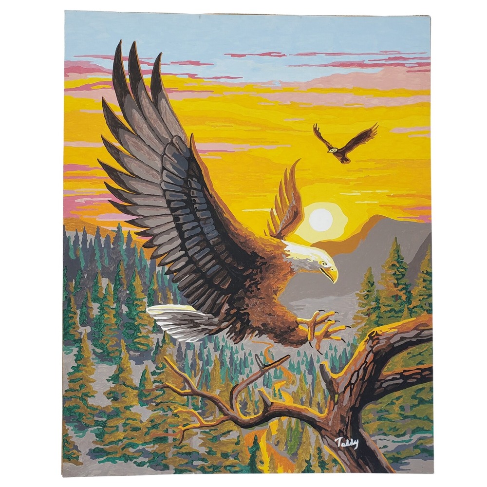 Vintage Bald Eagle Paint By Number Art Sunset Landscape‎ Signed Teddy 16x20